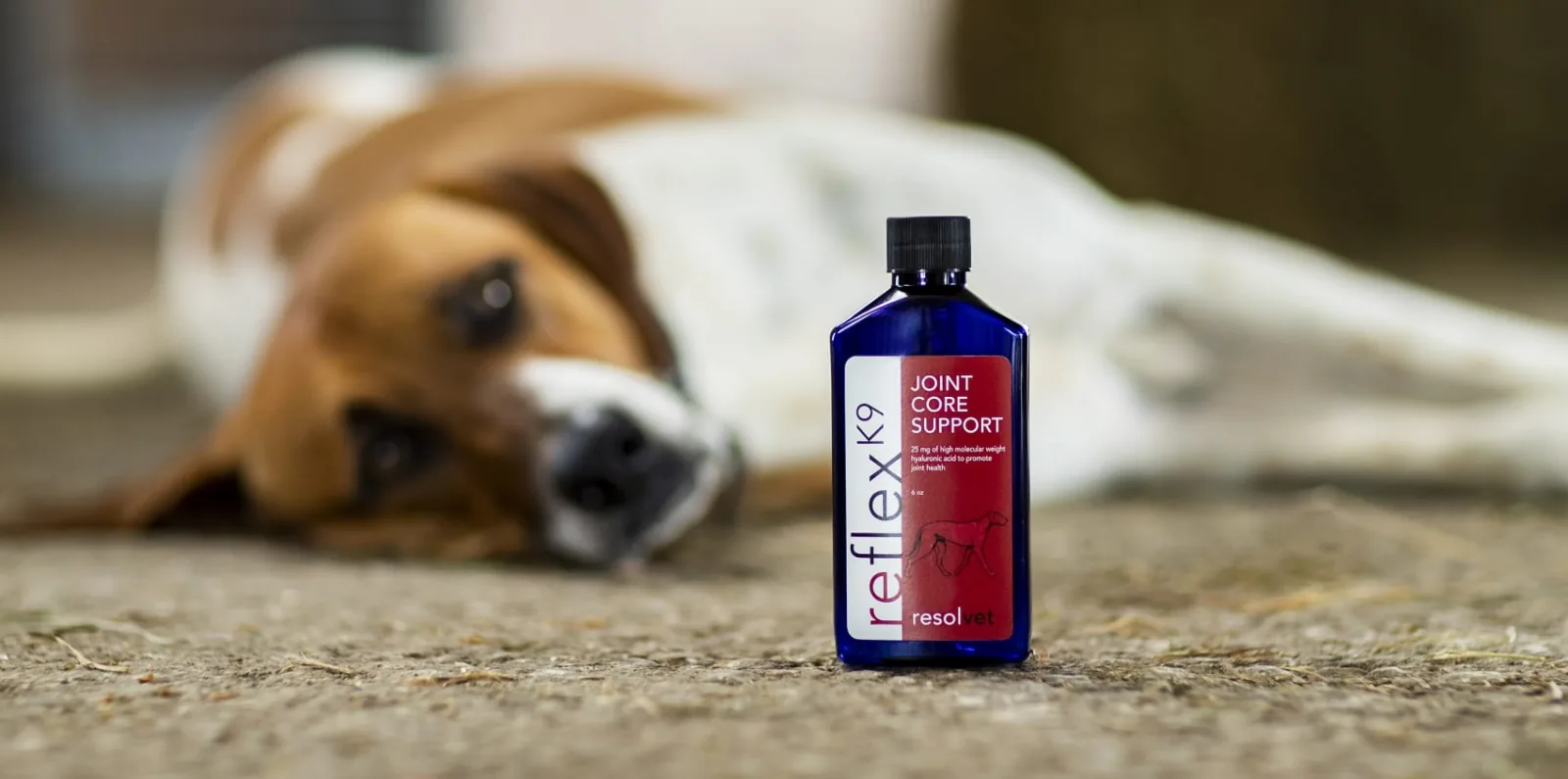 Reflex K9 joint support supplement.